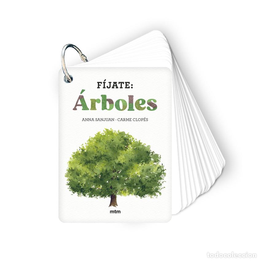 B&uuml;cher: F&Iacute;JATE: &Aacute;RBOLES - Sanjuan Llorens, Anna