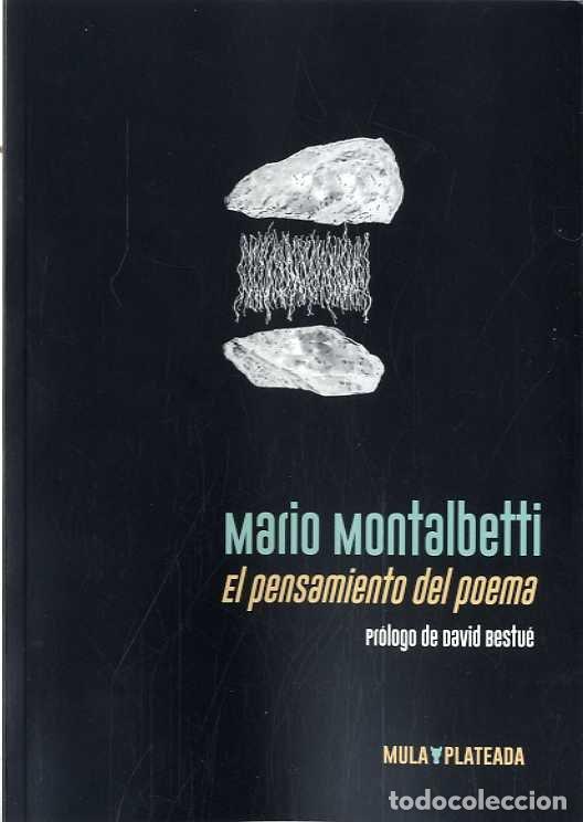 Livros: PENSAMIENTO DEL POEMA,EL - MONTALBETTI, MARIO