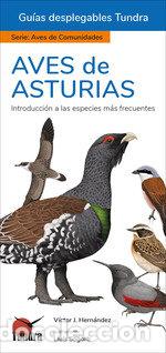 Libri: AVES DE ASTURIAS - VICTOR J HERNANDEZ