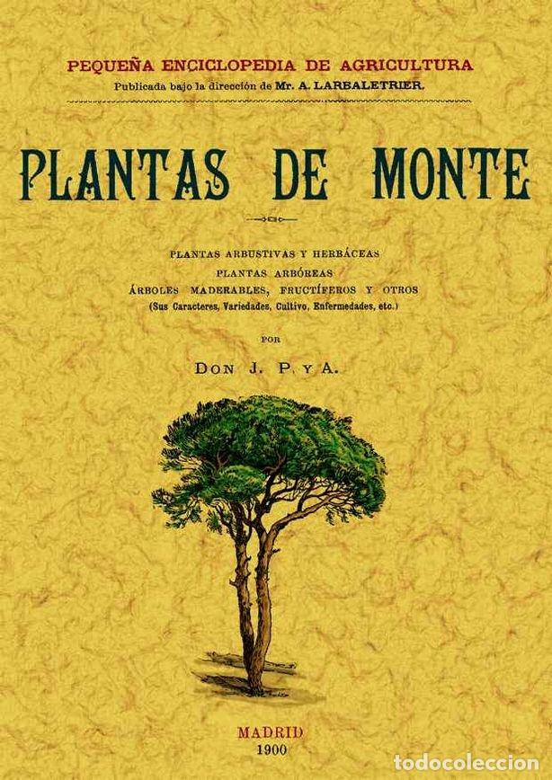 B&uuml;cher: PLANTAS DE MONTE - P. Y A., J.