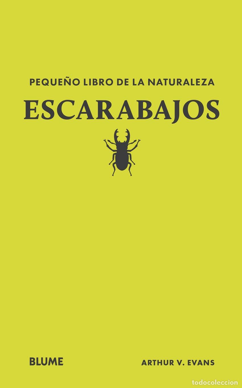 B&uuml;cher: PEQUE&Ntilde;O LIBRO DE LA NATURALEZA. ESCARABAJOS - Evans, Arthur V
