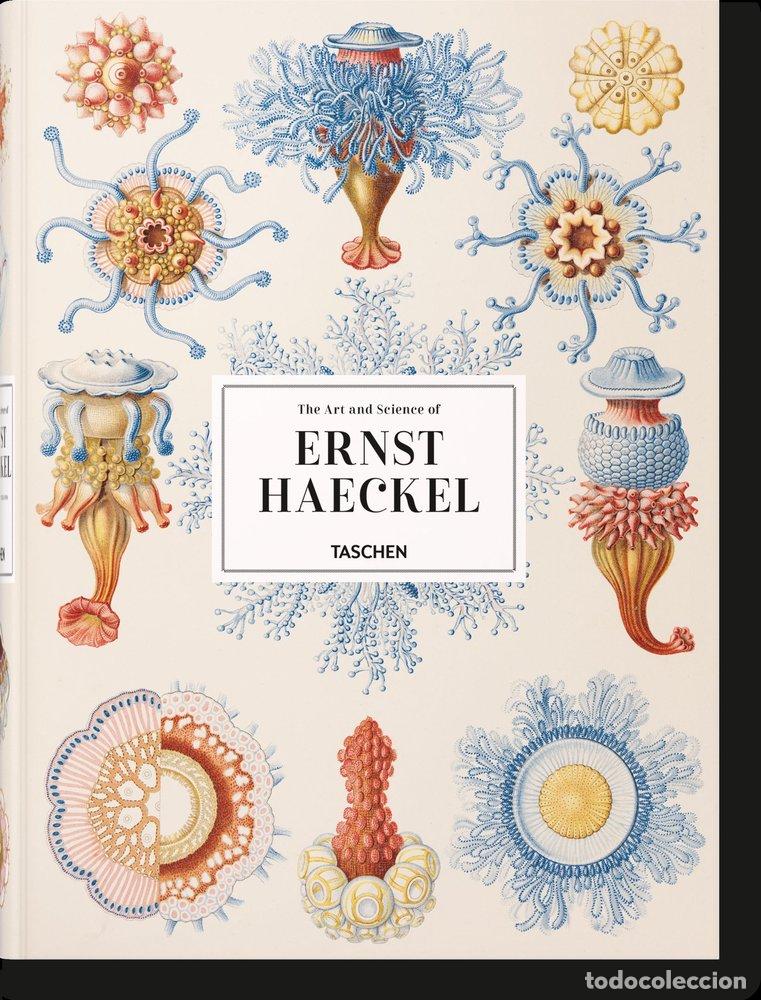 books: ERNST HAECKEL (IN/AL/FR) - HAECKEL, ERNST