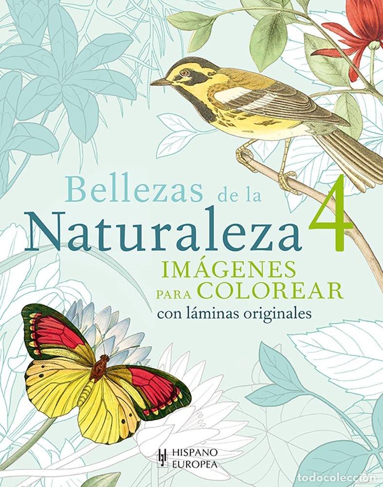 Libri: BELLEZAS DE LA NATURALEZA 4 - ARCTURUS