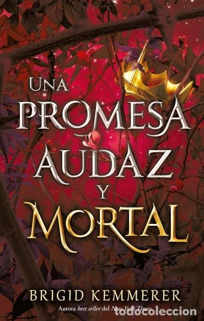 books: UNA PROMESA AUDAZ Y MORTAL - KEMMERER, BRIGID