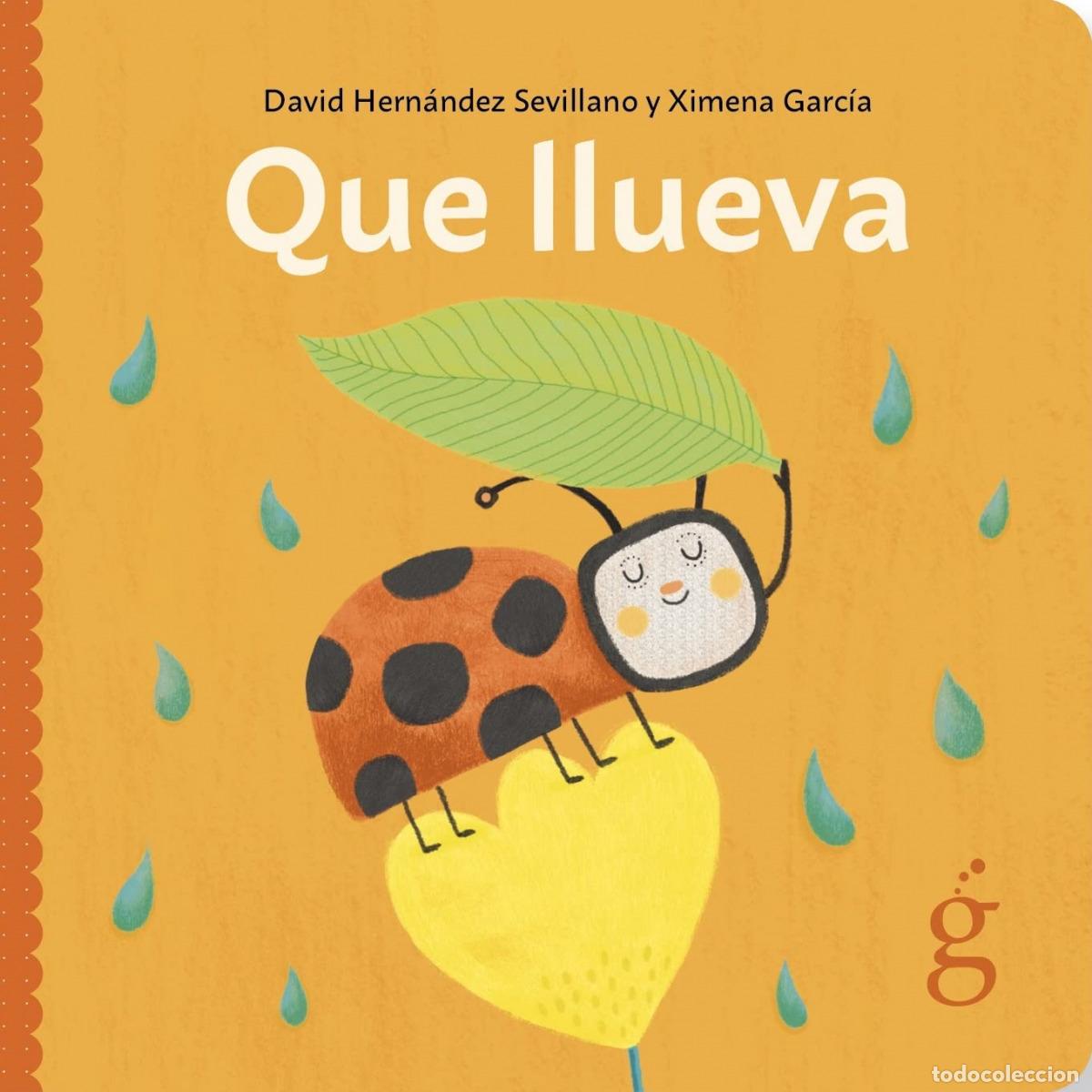Libri: QUE LLUEVA - Hern&aacute;ndez Sevillano, David