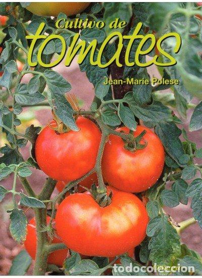 Libri: CULTIVO DE TOMATES - POLESE, JEAN MARIE