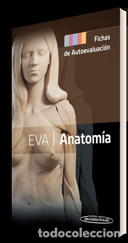 Libros: ANATOMIA FICHAS DE AUTOEVALUACION - EVA