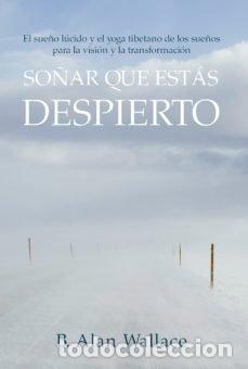 Livres: SO&Ntilde;AR QUE ESTAS DESPIERTO - WALLACE, B ALAN