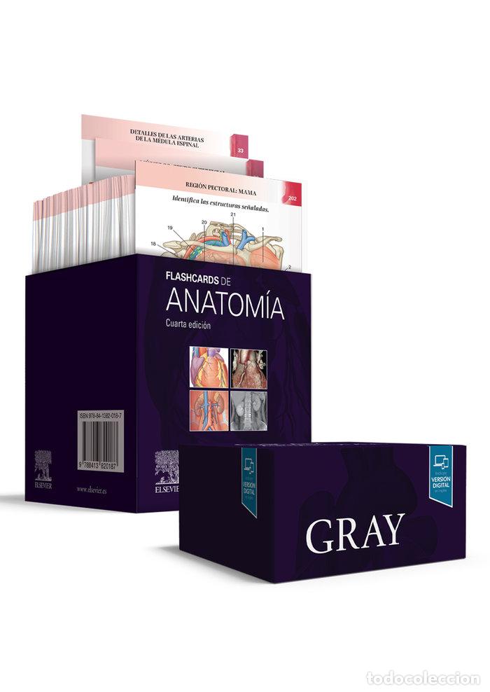 Libros: GRAY FLASHCARDS DE ANATOMIA - DRAKE, RICHARD L.