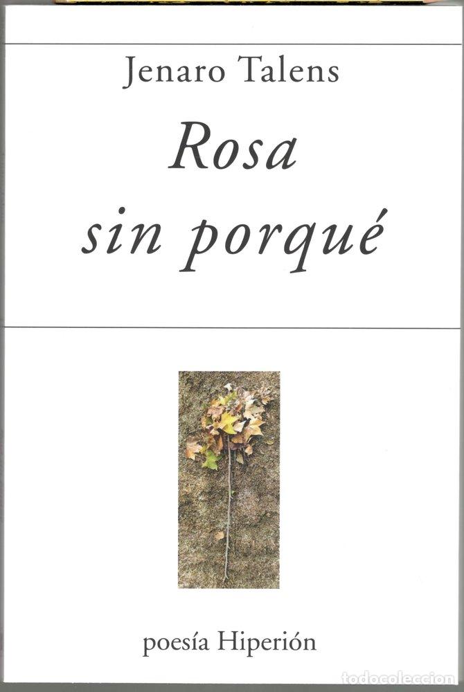Libros: ROSA SIN PORQUE - TALENS, JENARO