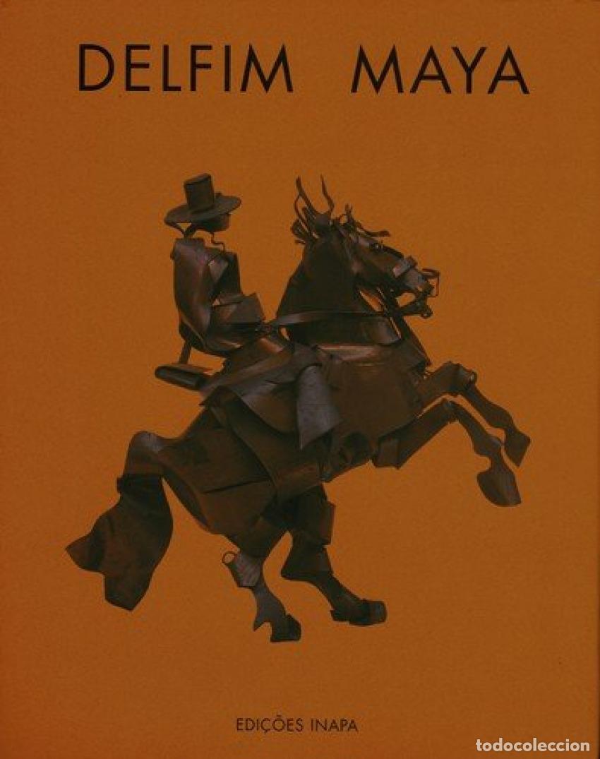Libros: DELFIM MAYA - Varios autores