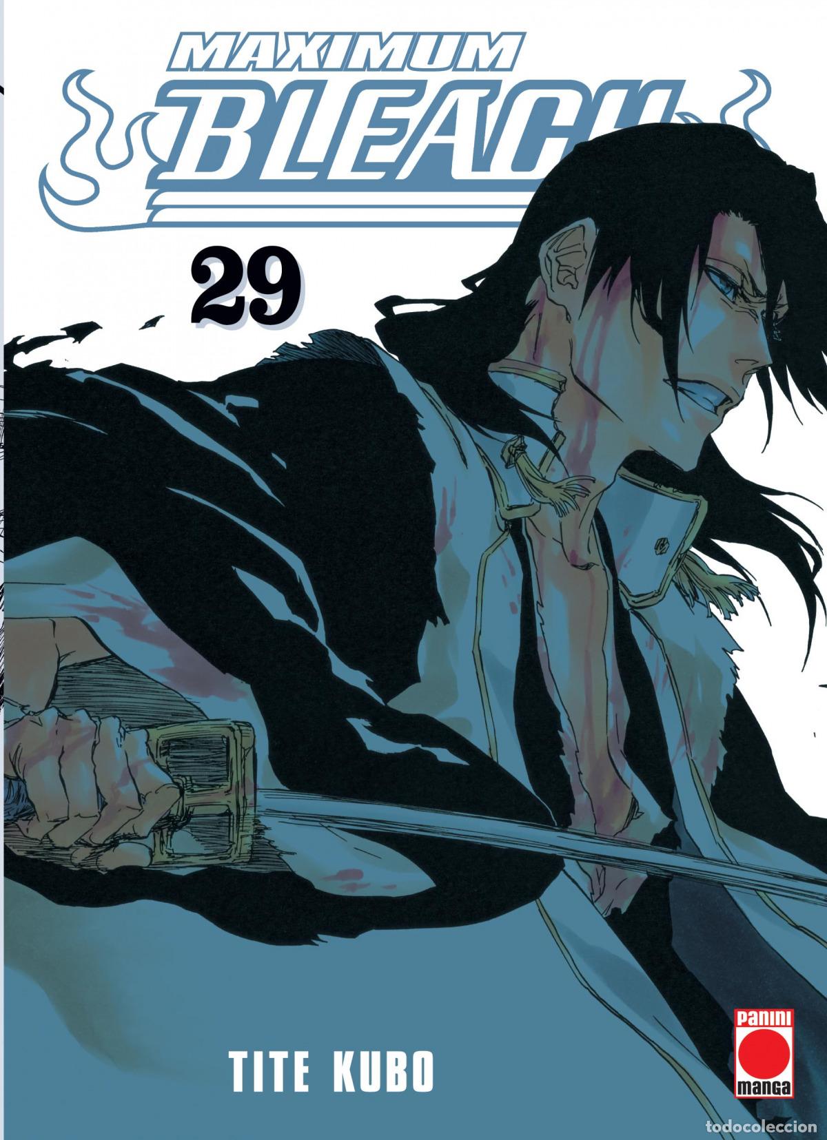 Livres: MAXIMUM BLEACH N.29 - Kubo, Tite