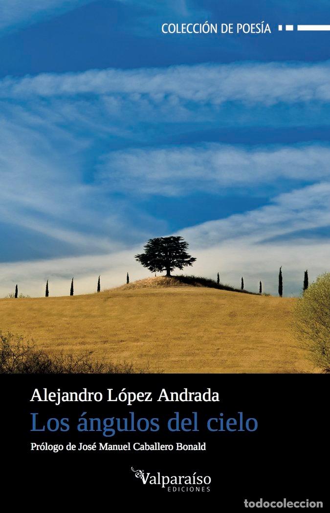 Livros: ANGULOS DEL CIELO,LOS - LOPEZ ANDRADA, ALEJANDRO