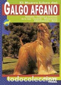 Libros: GALGO AFGANO - AA.VV