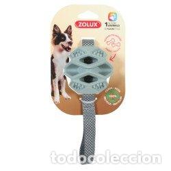 B&uuml;cher: JUGUETE TPR BOLA OUTDOOR KAKI - AA.VV