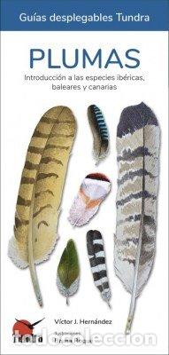 Livres: DESPLEGABLE PLUMAS - HERNANDEZ, VICTOR J