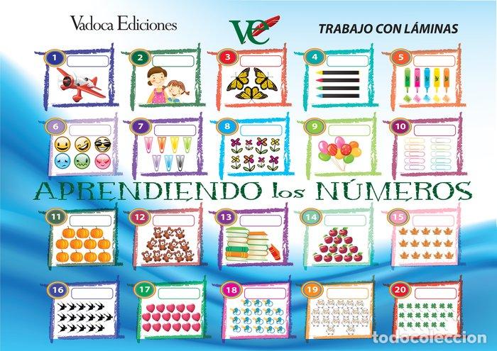 Libros: APRENDIENDO LOS NUMEROS - VANESSA DOMINGO CASILLAS