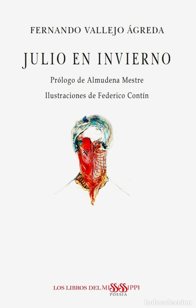 Livres: JULIO EN INVIERNO - VALLEJO AGREDA, FERNANDO