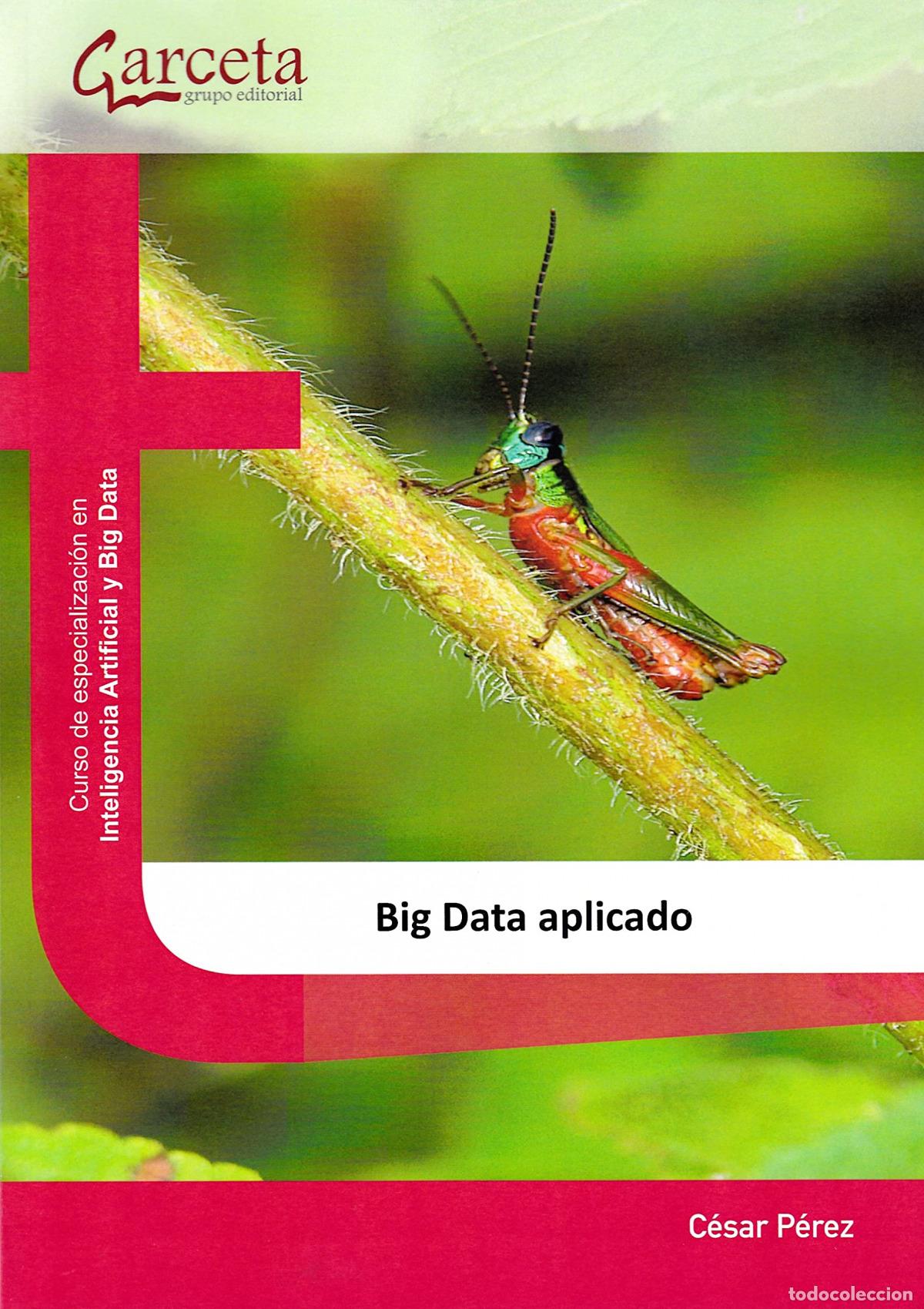 Libros: BIG DATA APLICADO - PEREZ LOPEZ, CESAR