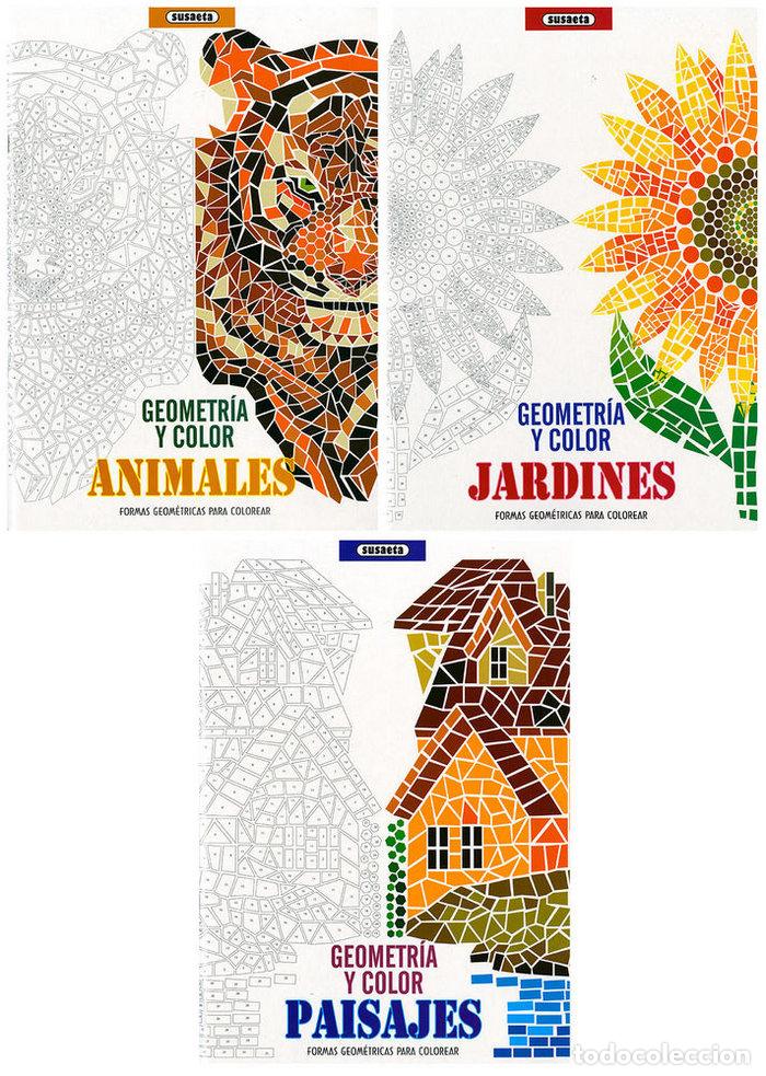 B&uuml;cher: GEOMETRIA Y COLOR 3 TITULOS - SUSAETA, EQUIPO