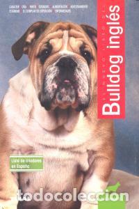Livres: NUEVO LIBRO BULLDOG INGLES - MAGGITTI, PHIL