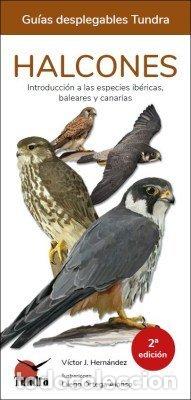 Libros: HALCONES GUIAS DESPLEGABLES TUNDRA - HERNANDEZ, VICTOR J