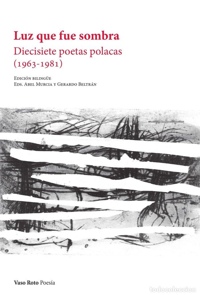 Libros: LUZ QUE FUE SOMBRA - AA.VV