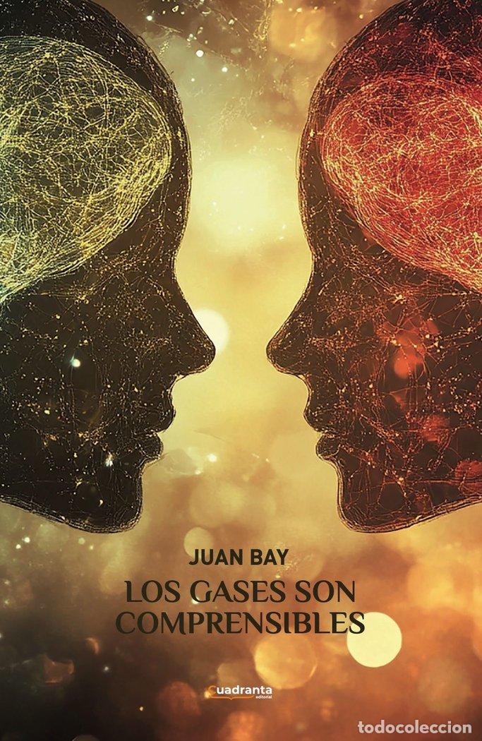 B&uuml;cher: LOS GASES SON COMPRENSIBLES - BAY GUARDIOLA, JUAN ANTONIO