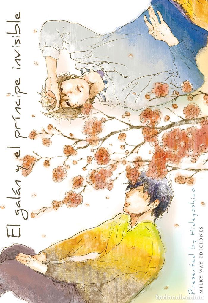 books: EL GALAN Y EL PRINCIPE INVISIBLE - HIDEYOSHICO