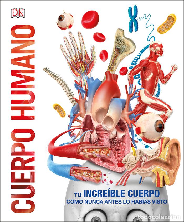 books: CUERPO HUMANO - AUTORES VARIOS