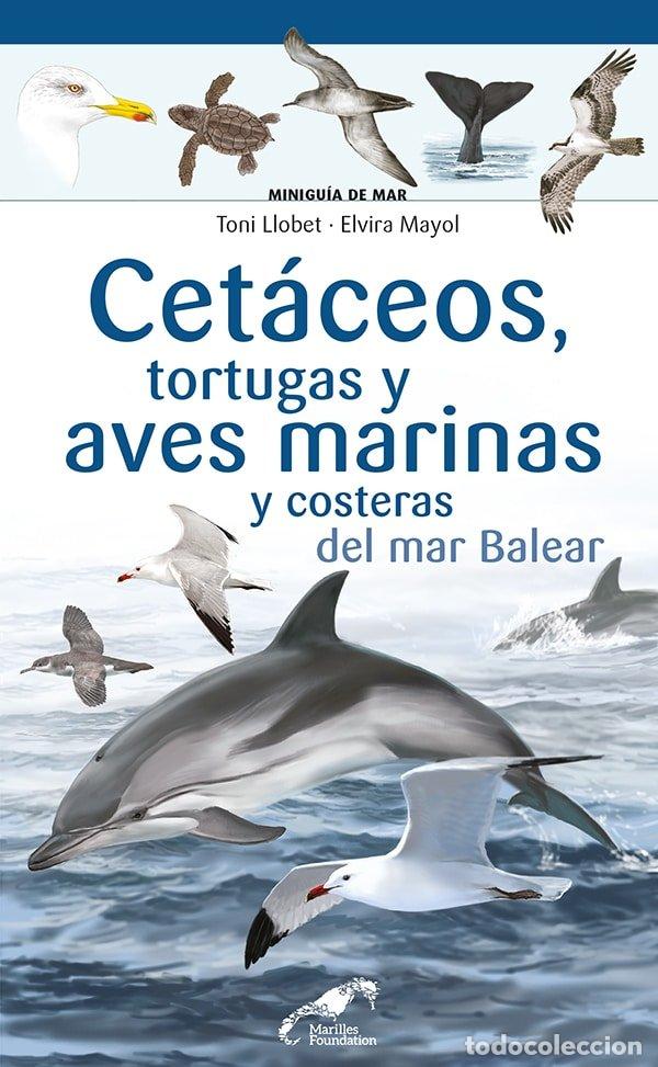 Livres: CETACEOS TORTUGAS Y AVES MARINA Y COSTERAS DEL MAR BALEAR - ELVIRA MAYOL