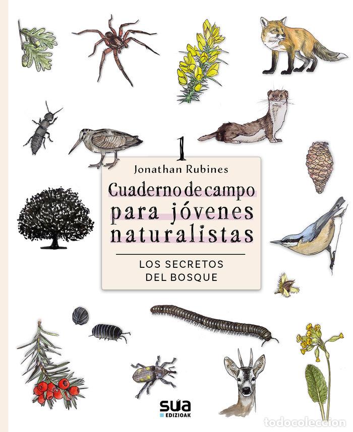 Livros: LOS SECRETOS DEL BOSQUE - RUBINES GARCIA, JONATHAN