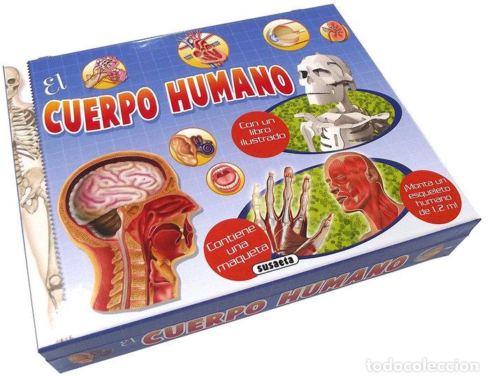 Libros: CUERPO HUMANO,EL - AA.VV