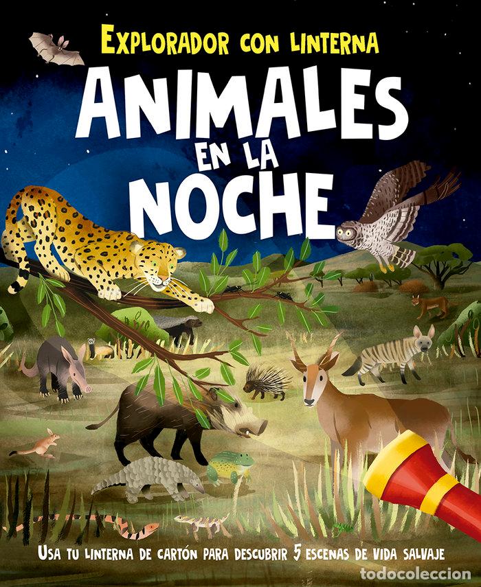Libros: ANIMALES EN LA NOCHE Y LINTERNA - REGAN, LISA