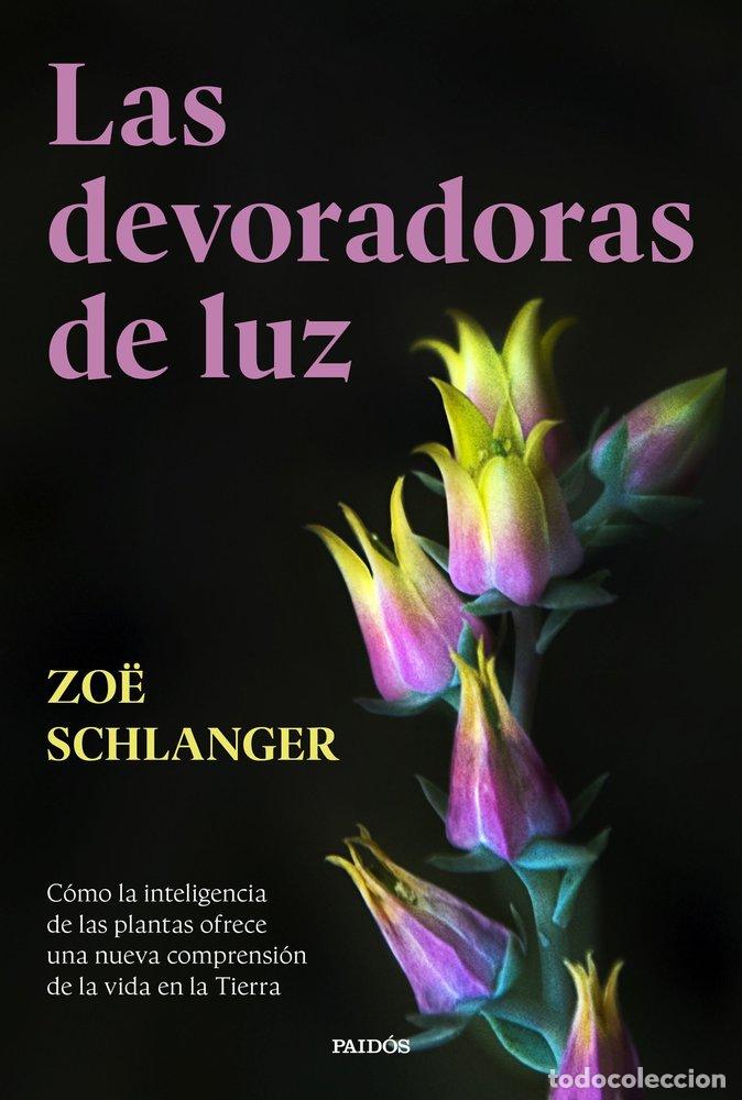 B&uuml;cher: LAS DEVORADORAS DE LUZ - ZOE SCHLANGER