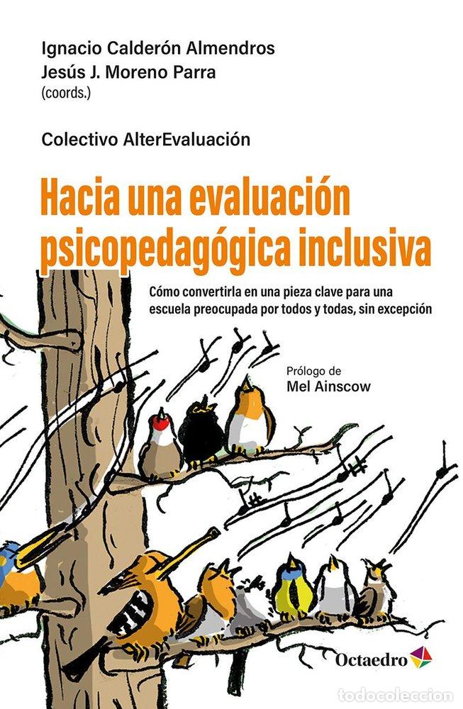 B&uuml;cher: HACIA UNA EVALUACION PSICOPEDAGOGICA INCLUSIVA - COLECTIVO ALTEREVALUACION