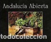 Libros: VER Y COMPRENDER ANDALUCIA RUSO - AA.VV