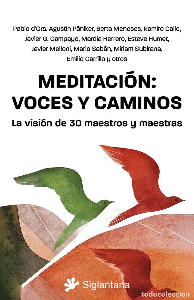 Libros: MEDITACION VOCES Y CAMINOS - VARIOS AUTORES