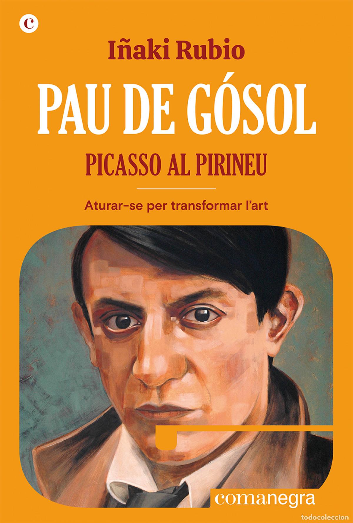 Libros: PAU DE G&Oacute;SOL. PICASSO AL PIRINEU - Rubio, I&ntilde;aki