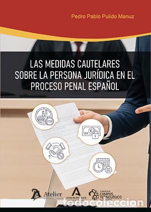 Livres: LAS MEDIDAS CAUTELARES SOBRE LA PERSONA JURIDICA EN EL PROC - PEDRO PABLO PULIDO MANUZ