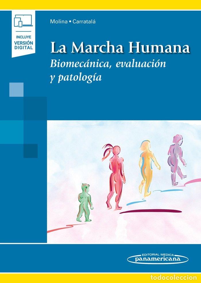 Livros: MARCHA HUMANA BIOMECANICA, EVALUACION Y PATOLOGIA - MOLINA RUEDA, FRANCISCO