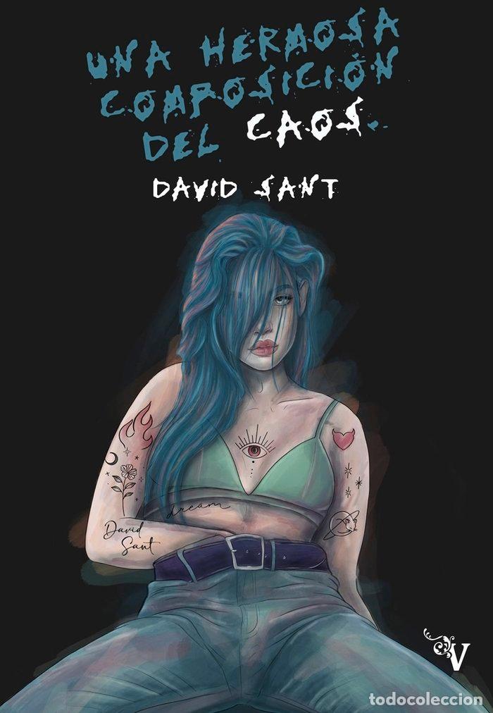 Libros: UNA HERMOSA COMPOSICION DEL CAOS - SANT, DAVID
