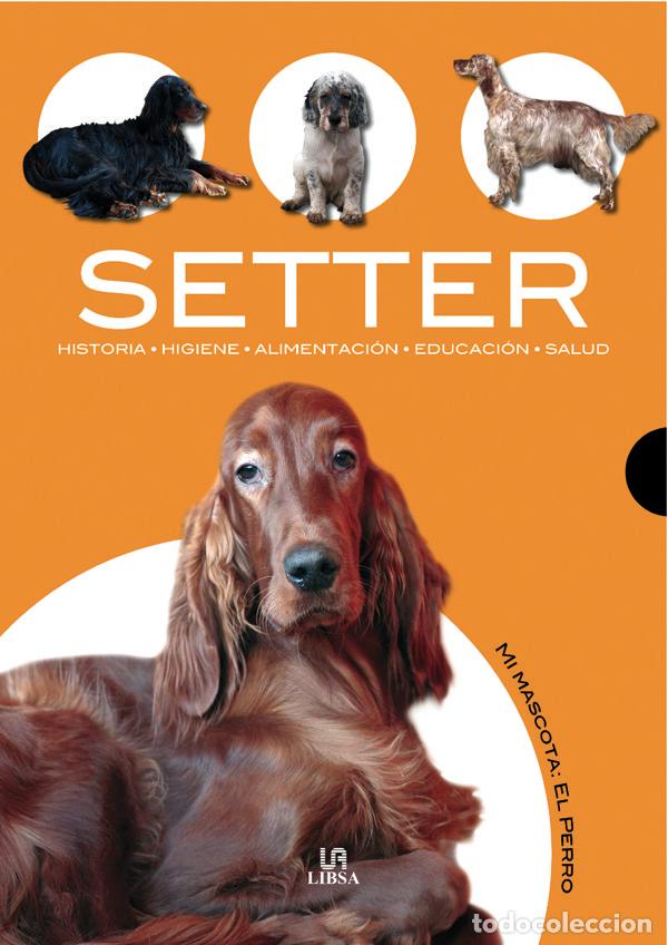 Livres: SETTER - VILLAHIZAN, JAVIER