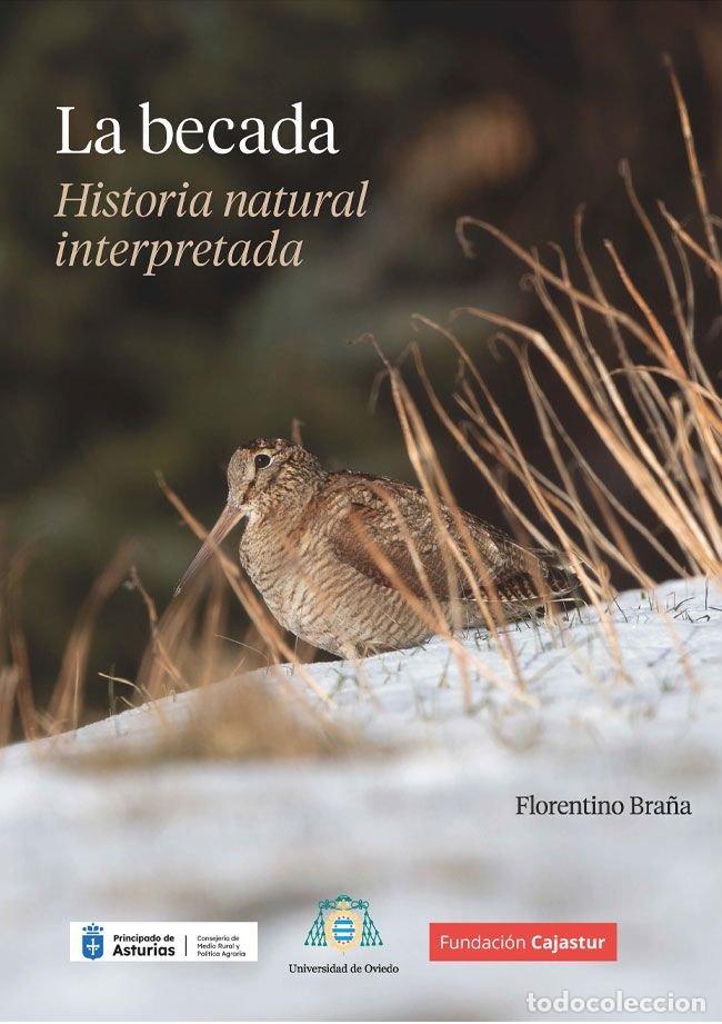 Libros: LA BECADA - BRA&Ntilde;A, FLORENTINO
