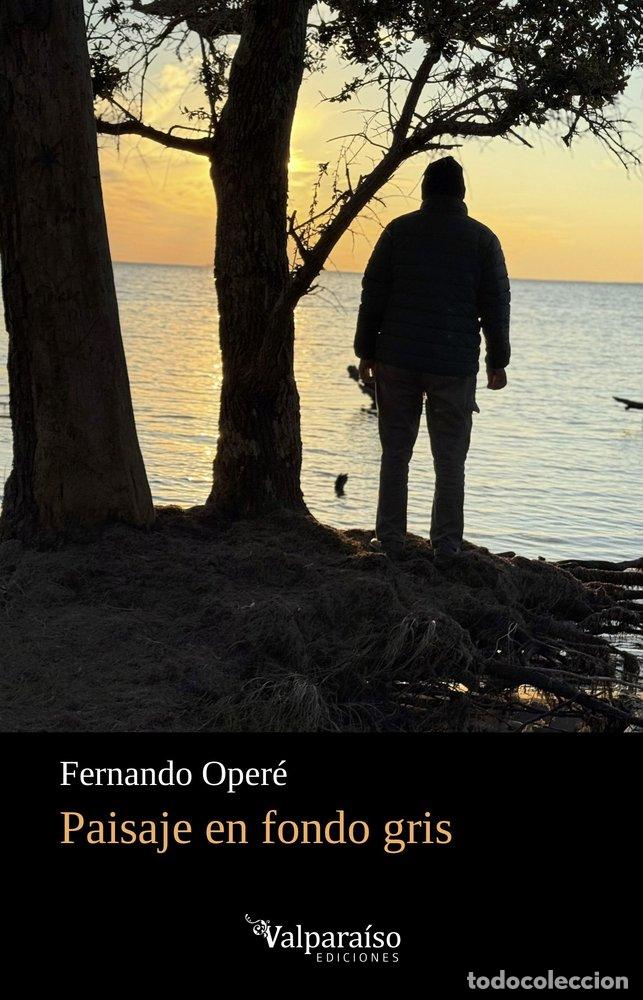 Libros: PAISAJE EN FONDO GRIS - OPERE, FERNANDO