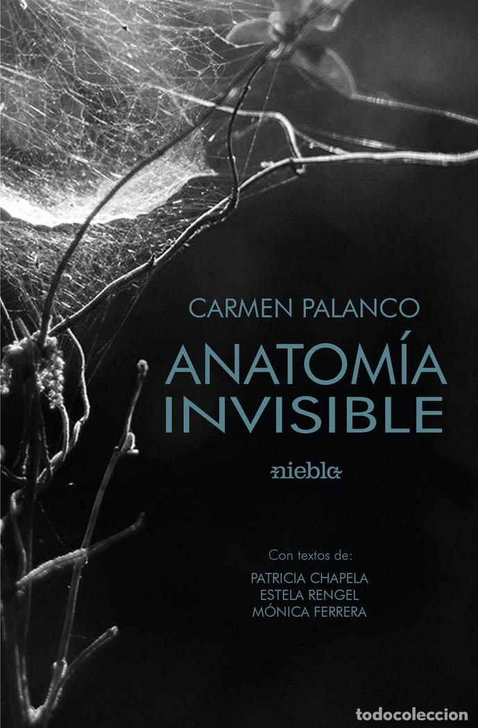 books: ANATOMIA DE LO INVISIBLE - PALANCO, CARMEN