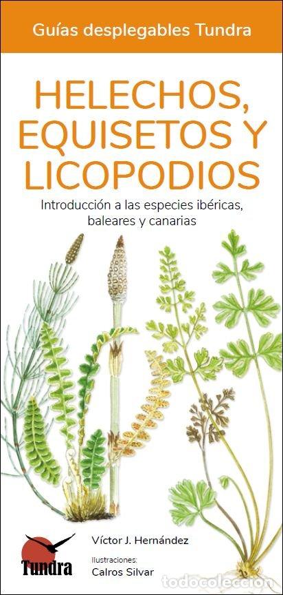 Livros: HELECHOS EQUISETOS Y LICOPODIOS - AA.VV