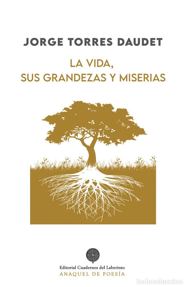 Libros: LA VIDA SUS GRANDEZAS Y MISERIAS - TORRES DAUDET, JORGE