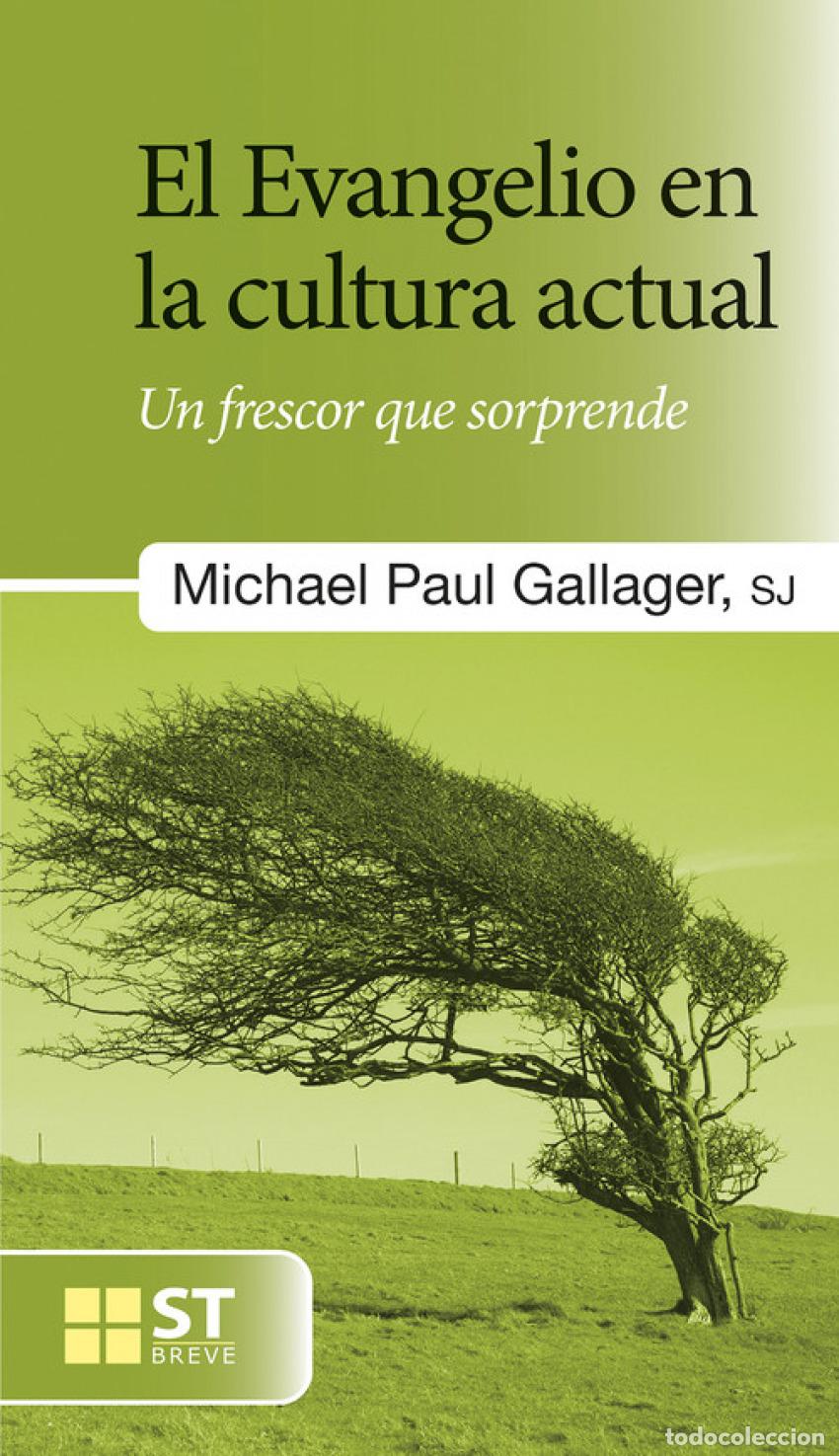 Libros: EL EVANGELIO EN LA CULTURA ACTUAL - Gallagher, Michael Paul