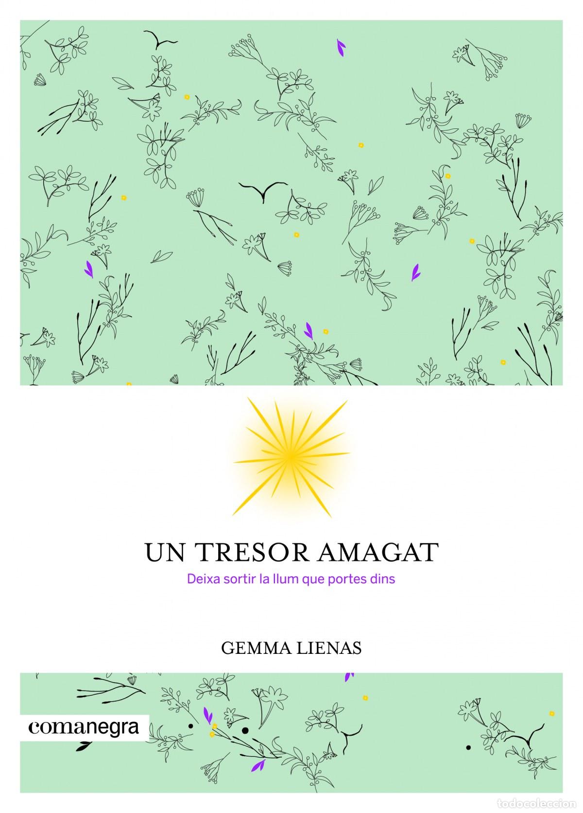 B&uuml;cher: UN TRESOR AMAGAT - LIENAS, GEMMA